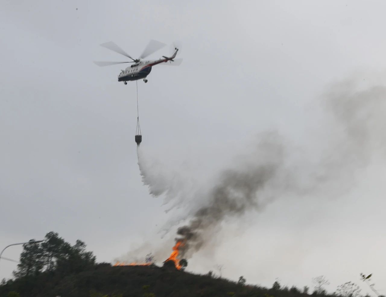 1673512619897656.jpg 754004429fcc722689165356c892b459.jpg